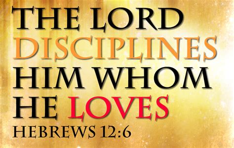 Hebrews 12:6.